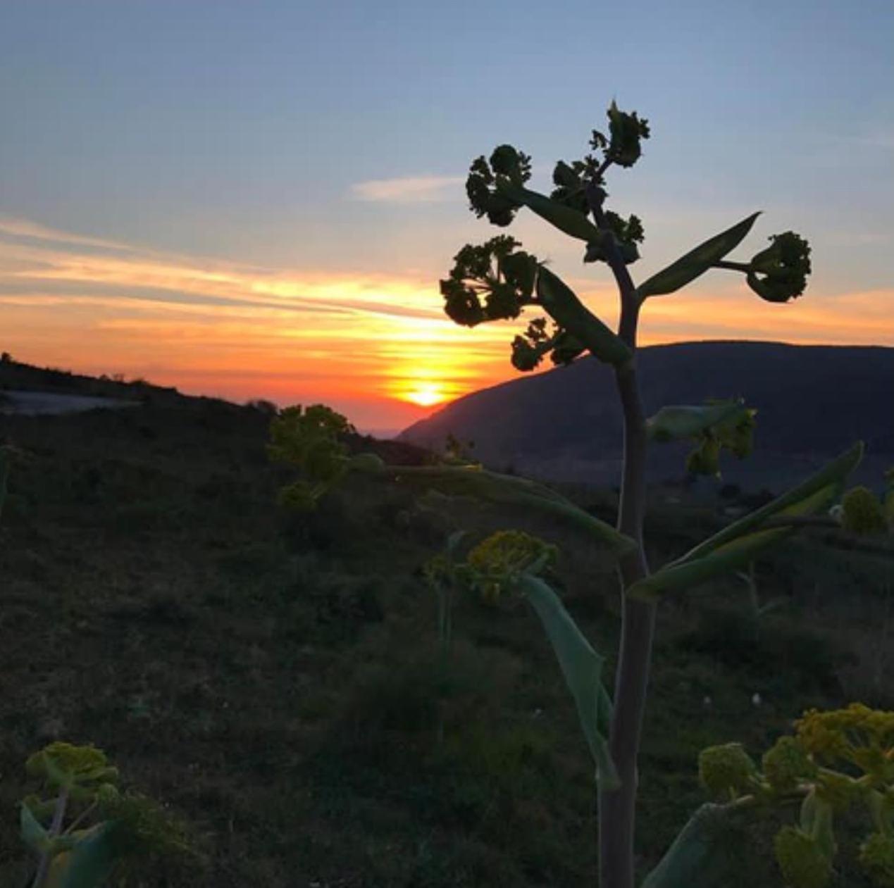 In Sicilia Da Ciro Bed & Breakfast Vita Ngoại thất bức ảnh