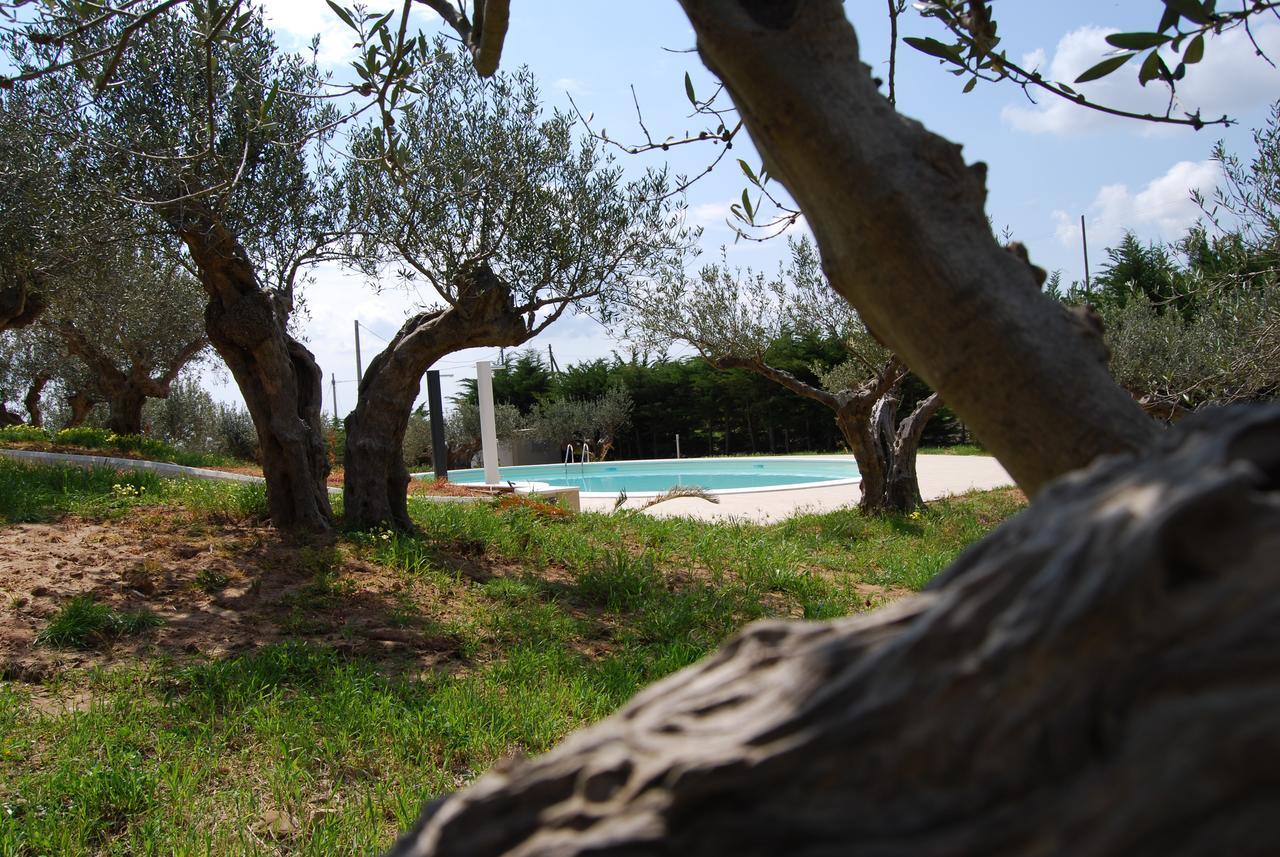 In Sicilia Da Ciro Bed & Breakfast Vita Ngoại thất bức ảnh